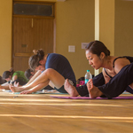 Yoga Teachers in India